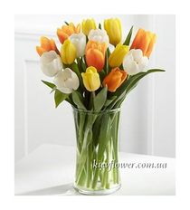 Bouquet of 19 spring tulips